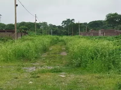 falta de mantenimiento en el barrio el tipal el Carmen.