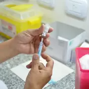 Comenz� la distribuci�n de vacunas contra el dengue en Jujuy y otras 10 provincias: �a qui�nes est� destinada?