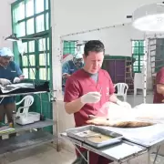 Nuevo cronograma de actividades de Zoonosis en distintos barrios de la ciudad