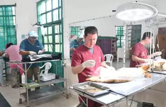 castraci�n zoonosis san salvador