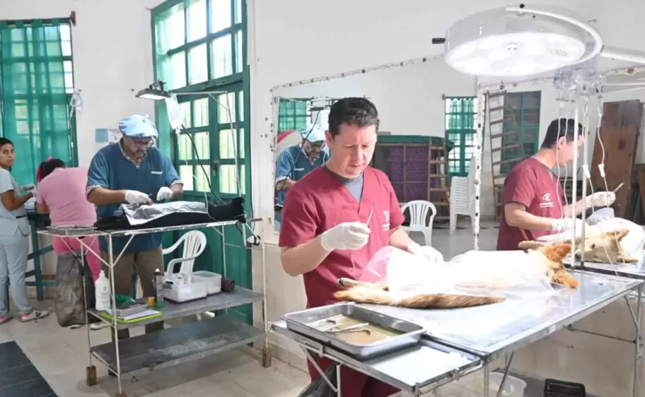 castraci�n zoonosis san salvador