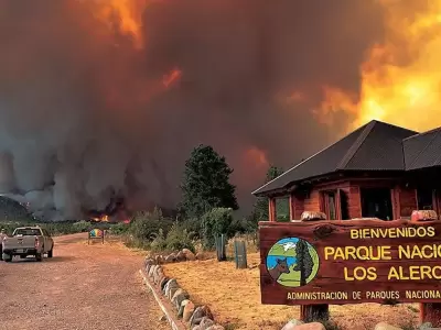 parque nacional los alerces