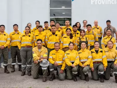 brigadistas juje�os