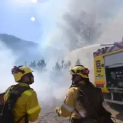 Con satélites y drones: diseñaron un sistema que permite detectar incendios forestales en tiempo real