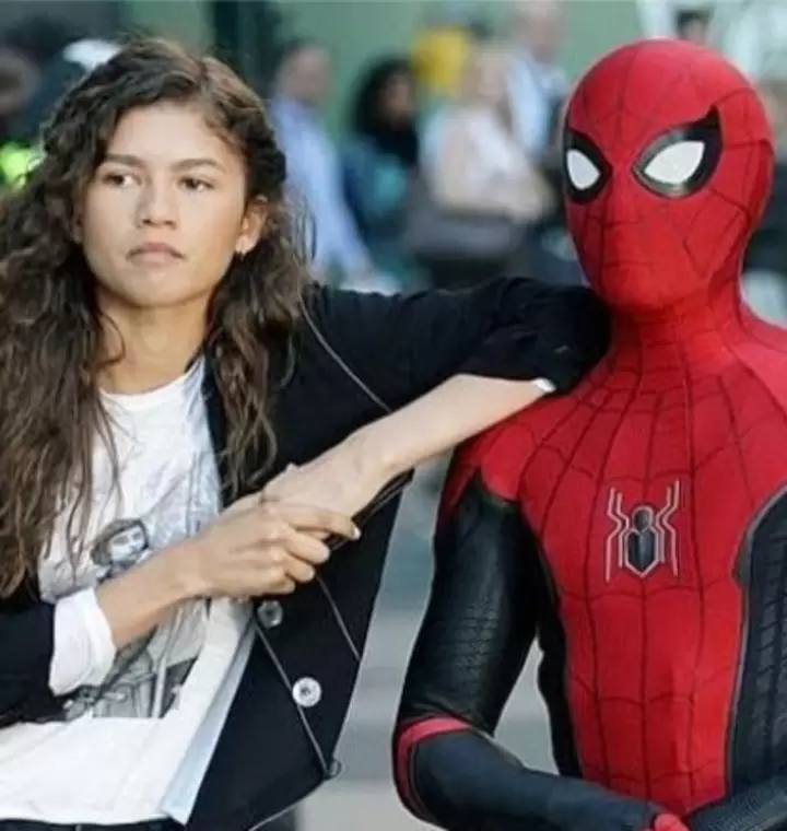 Zendaya y Tom Holland en Spider- Man: de regreso a casa, la primera película de este universo doblada por Ortega. Fuente: IMDb