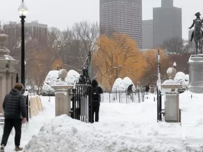 tormenta fern Estados Unidos