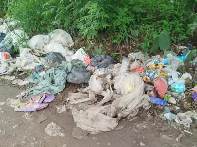 basural el carmen ruta 42