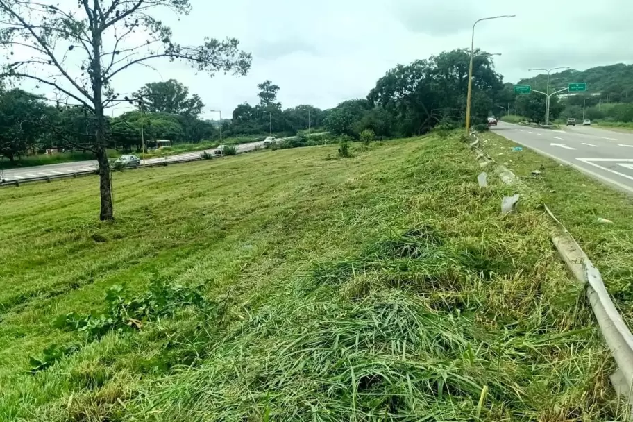 Vialidad Provincial, presente para desmalezar rutas nacionales