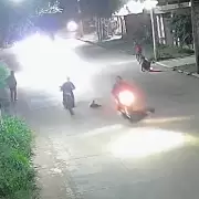 Perico: motociclistas atropellaron y mataron a un perro y se dieron a la fuga