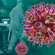 La OMS en alerta por el virus Nipah: ¿Qué riesgo real existe de que llegue a nuestro país?