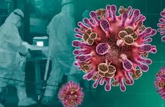 La OMS en alerta por el virus Nipah: �Qu� riesgo real existe de que llegue a nuestro pa�s?