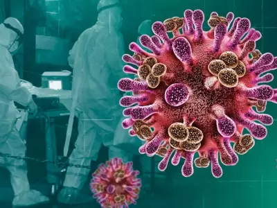 La OMS en alerta por el virus Nipah: �Qu� riesgo real existe de que llegue a nuestro pa�s?