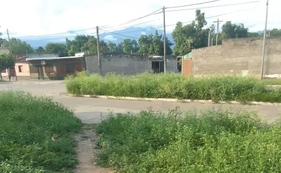 malezas en libertador