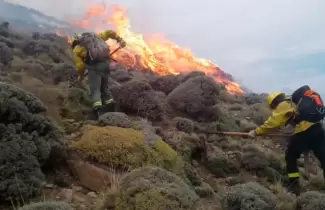 incendios santa cruz