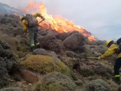 incendios santa cruz