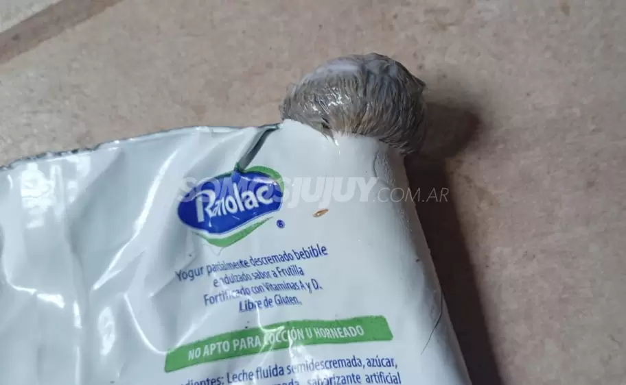 rata yogurt