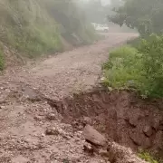 Estado de las rutas en Jujuy: cuáles son los caminos transitables y las zonas con precaución