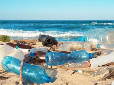 Lograron retirar m�s de 47 millones de kilos de pl�stico de los oc�anos y r�os