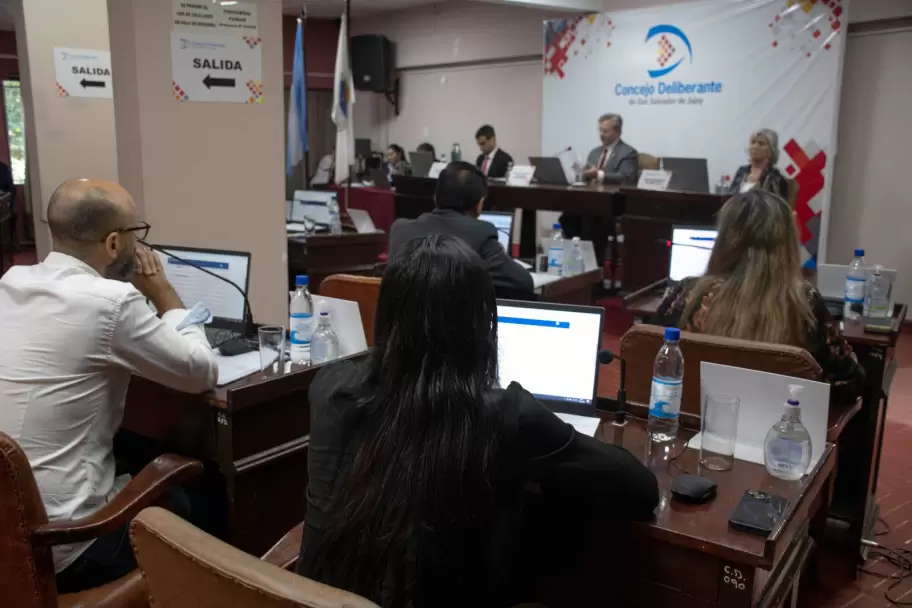 concejo deliberante