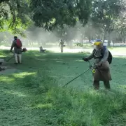 El municipio intensifica tareas de desmalezado y corte de pasto en todos los barrios de la ciudad