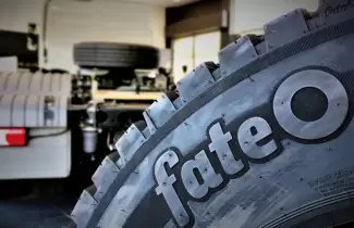 neumaticos fate
