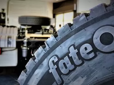 neumaticos fate