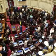 El Senado convirtió en ley el Régimen Penal Juvenil