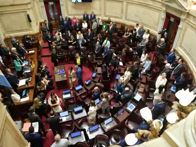senado