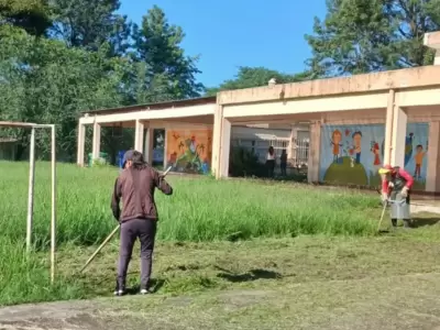 desmalezado ESCUELAS