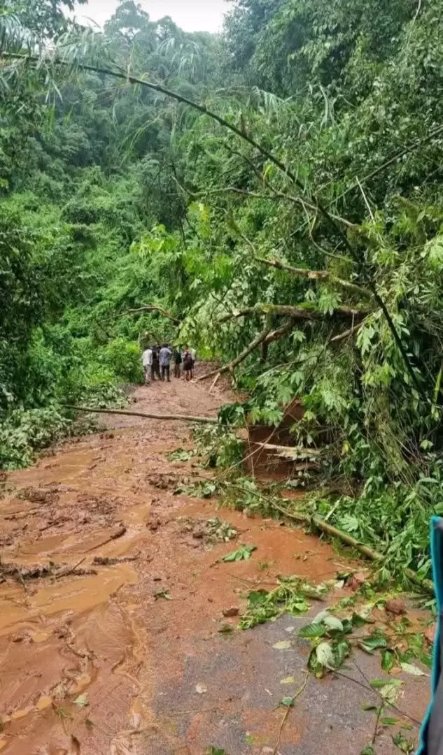 Lluvia Calilegua