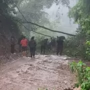Cerrado el ingreso al Parque Nacional Calilegua por intensas lluvias