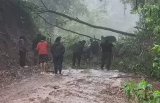 Lluvia Calilegua