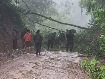 Lluvia Calilegua