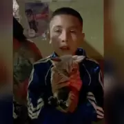 Bomberos rescataron a un gatito atrapado en el motor de un auto en Monterrico
