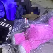 Insólita persecución en Jujuy: robaron un peluche gigante y cayeron en barrio Mariano Moreno