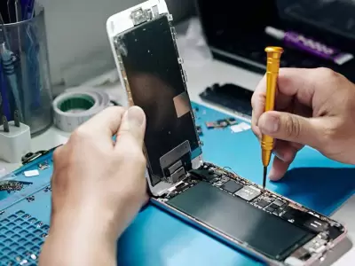 reparaci�n celulares