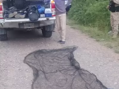 secuestro redes pesca