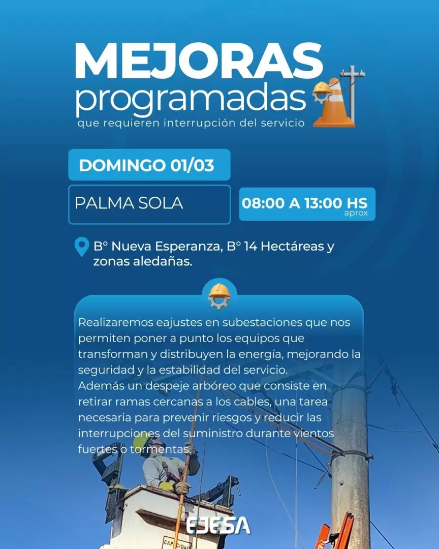 palma sola