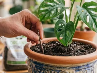 jardiner�a plantas