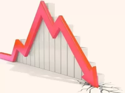 caida en la recaudacion