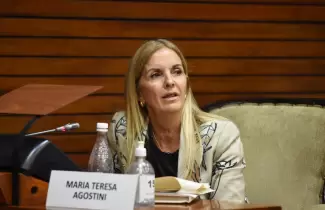 Diputada Mar�a Teresa Agostini