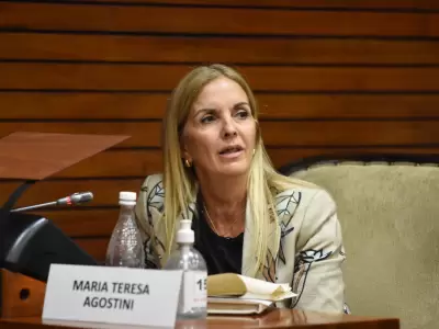 Diputada Mar�a Teresa Agostini