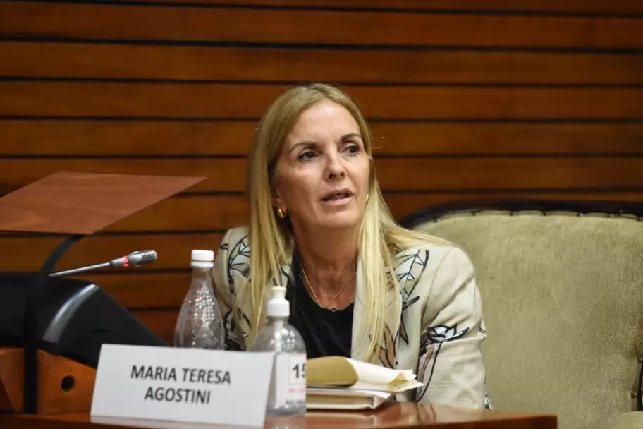 Diputada María Teresa Agostini