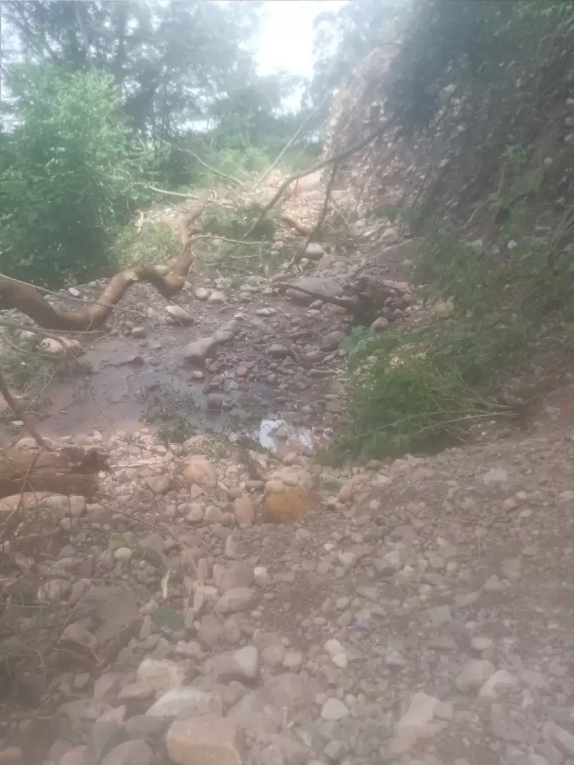 camino cortado Normenta