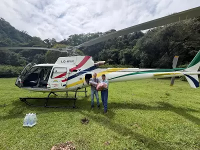 asistencia para Normenta
