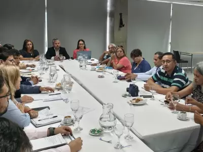 paritaria docente