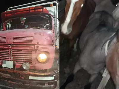 Operativos de control y rescate de fauna en Jujuy: intervenciones en Abra Pampa y Le�n