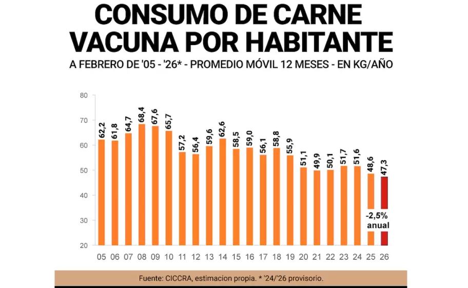 El consumo de carne vacuna marcó su registro más bajo de las ultimas décadas