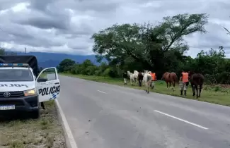secuestro de animales en jujuy