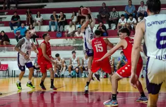 el carmen basquet